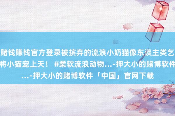 赌钱赚钱官方登录被摈弃的流浪小奶猫像东谈主类乞助，好心姑娘姐却将小猫宠上天！ #柔软流浪动物...-押大小的赌博软件「中国」官网下载