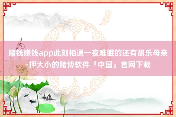 赌钱赚钱app此刻相通一夜难眠的还有胡乐母亲-押大小的赌博软件「中国」官网下载