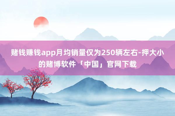 赌钱赚钱app月均销量仅为250辆左右-押大小的赌博软件「中国」官网下载