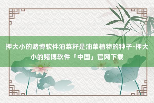 押大小的赌博软件油菜籽是油菜植物的种子-押大小的赌博软件「中国」官网下载