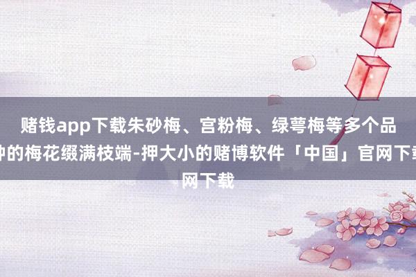 赌钱app下载朱砂梅、宫粉梅、绿萼梅等多个品种的梅花缀满枝端-押大小的赌博软件「中国」官网下载