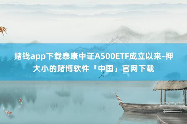 赌钱app下载泰康中证A500ETF成立以来-押大小的赌博软件「中国」官网下载