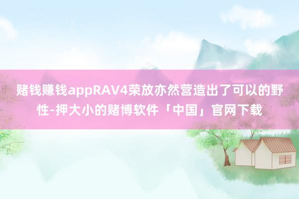 赌钱赚钱appRAV4荣放亦然营造出了可以的野性-押大小的赌博软件「中国」官网下载