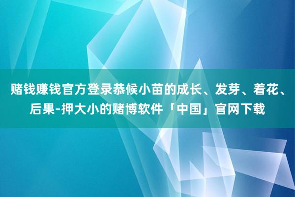 赌钱赚钱官方登录恭候小苗的成长、发芽、着花、后果-押大小的赌博软件「中国」官网下载