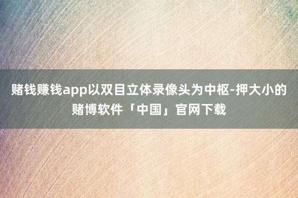 赌钱赚钱app以双目立体录像头为中枢-押大小的赌博软件「中国」官网下载