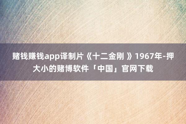赌钱赚钱app译制片《十二金刚 》1967年-押大小的赌博软件「中国」官网下载