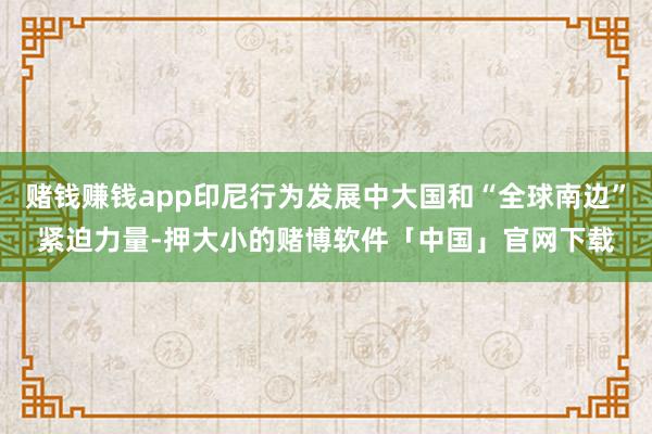 赌钱赚钱app印尼行为发展中大国和“全球南边”紧迫力量-押大小的赌博软件「中国」官网下载