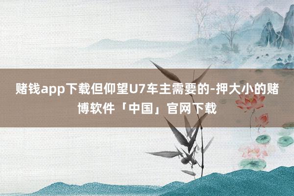 赌钱app下载但仰望U7车主需要的-押大小的赌博软件「中国」官网下载