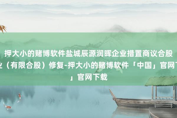 押大小的赌博软件盐城辰源润晖企业措置商议合股企业（有限合股）修复-押大小的赌博软件「中国」官网下载