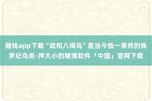 赌钱app下载“政和八闽鸟”是当今独一果然的侏罗纪鸟类-押大小的赌博软件「中国」官网下载