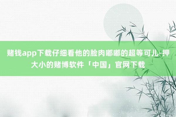 赌钱app下载仔细看他的脸肉嘟嘟的超等可儿-押大小的赌博软件「中国」官网下载