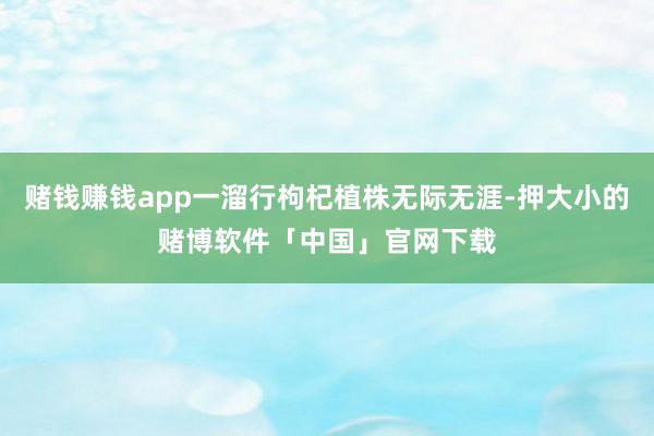 赌钱赚钱app一溜行枸杞植株无际无涯-押大小的赌博软件「中国」官网下载