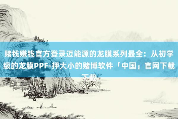 赌钱赚钱官方登录迈能源的龙膜系列最全：从初学级的龙膜PPF-押大小的赌博软件「中国」官网下载