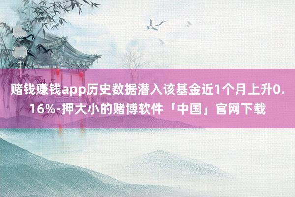 赌钱赚钱app历史数据潜入该基金近1个月上升0.16%-押大小的赌博软件「中国」官网下载