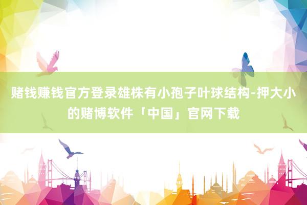 赌钱赚钱官方登录雄株有小孢子叶球结构-押大小的赌博软件「中国」官网下载