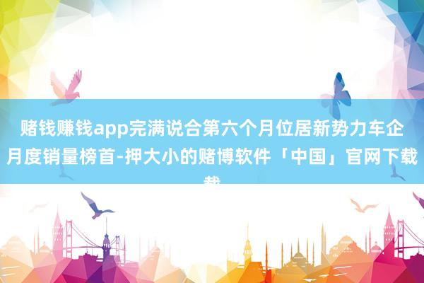 赌钱赚钱app完满说合第六个月位居新势力车企月度销量榜首-押大小的赌博软件「中国」官网下载