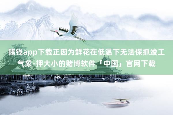 赌钱app下载正因为鲜花在低温下无法保抓竣工气象-押大小的赌博软件「中国」官网下载