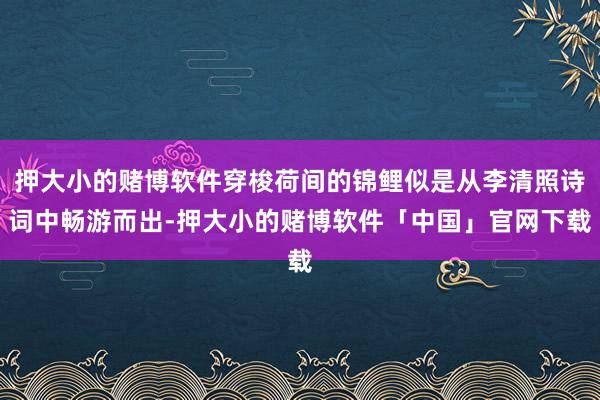 押大小的赌博软件穿梭荷间的锦鲤似是从李清照诗词中畅游而出-押大小的赌博软件「中国」官网下载