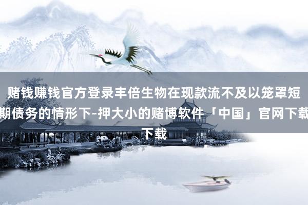 赌钱赚钱官方登录丰倍生物在现款流不及以笼罩短期债务的情形下-押大小的赌博软件「中国」官网下载