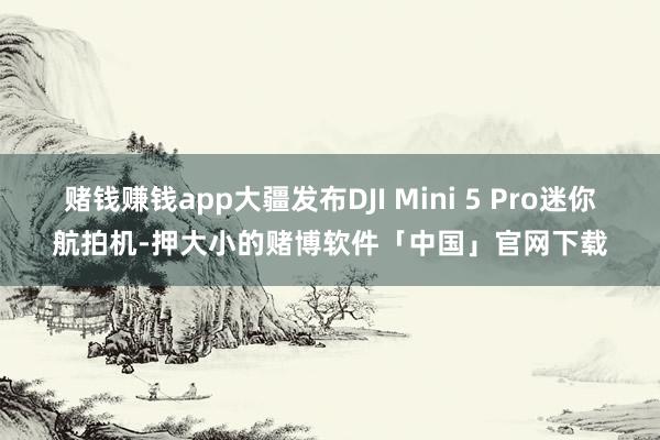 赌钱赚钱app大疆发布DJI Mini 5 Pro迷你航拍机-押大小的赌博软件「中国」官网下载