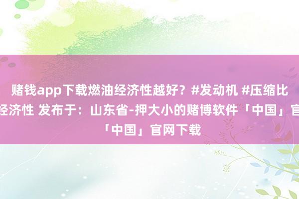 赌钱app下载燃油经济性越好？#发动机 #压缩比 #燃油经济性 发布于：山东省-押大小的赌博软件「中国」官网下载