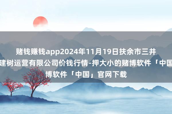 赌钱赚钱app2024年11月19日扶余市三井子园区市集建树运营有限公司价钱行情-押大小的赌博软件「中国」官网下载
