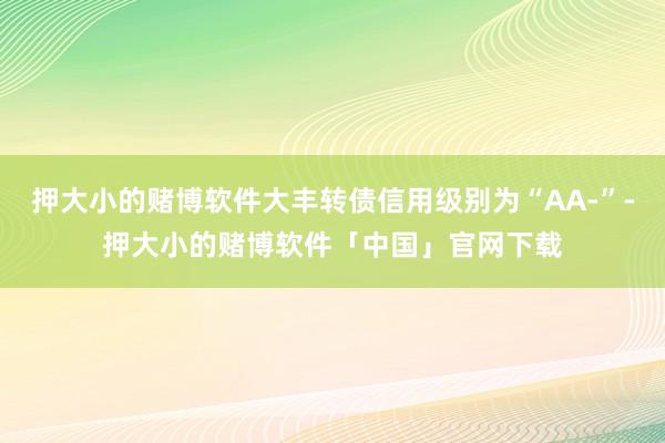 押大小的赌博软件大丰转债信用级别为“AA-”-押大小的赌博软件「中国」官网下载