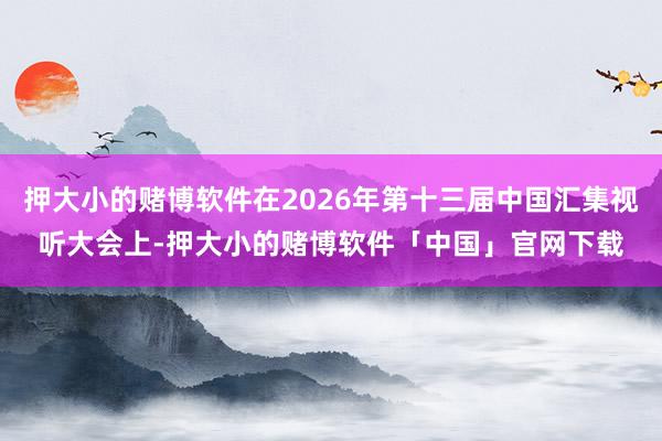 押大小的赌博软件在2026年第十三届中国汇集视听大会上-押大小的赌博软件「中国」官网下载