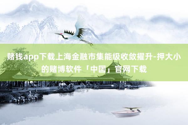 赌钱app下载上海金融市集能级收敛擢升-押大小的赌博软件「中国」官网下载