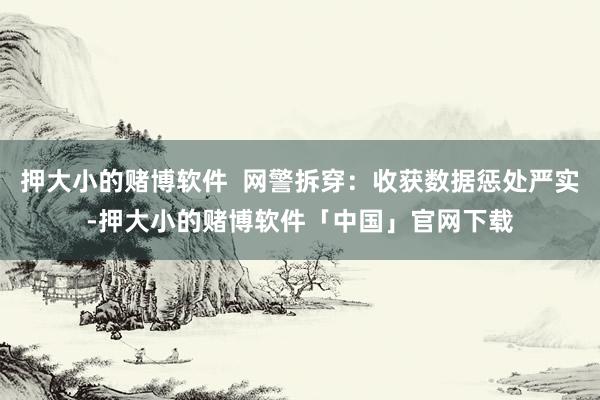 押大小的赌博软件  网警拆穿：收获数据惩处严实-押大小的赌博软件「中国」官网下载