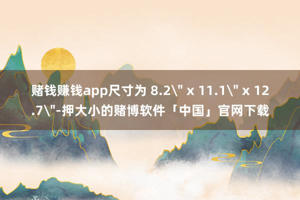 赌钱赚钱app尺寸为 8.2