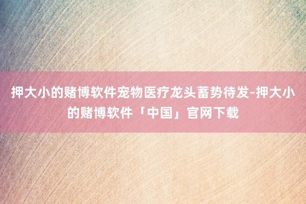 押大小的赌博软件宠物医疗龙头蓄势待发-押大小的赌博软件「中国」官网下载